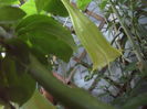 SAM_3561