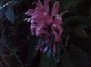 SAM_3562