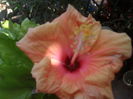 SAM_3566