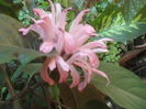 SAM_3572