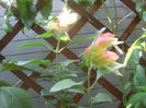 SAM_3573