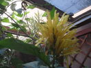 SAM_3579