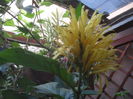 SAM_3580