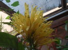 SAM_3581