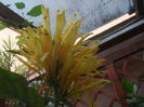 SAM_3582