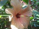 SAM_3591