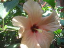 SAM_3592