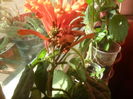 SAM_3627