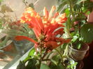 SAM_3628