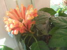 SAM_3630