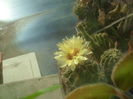 SAM_3632