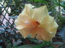 SAM_3636