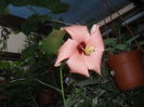 SAM_3639