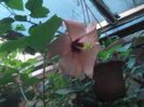 SAM_3640