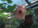 SAM_3641
