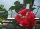 SAM_3642