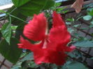 SAM_3643