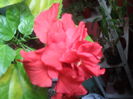 SAM_3645