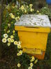 DSCN0567