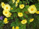 DSCN0568