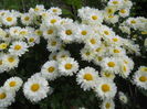 DSCN0569