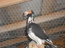 DSCN3312