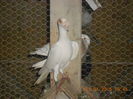 DSCN3344