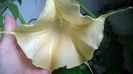 WP_20151022_15_21_17_Pro