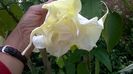 WP_20151002_14_08_07_Pro