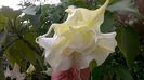WP_20151002_14_08_17_Pro