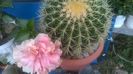 WP_20150921_17_21_14_Pro