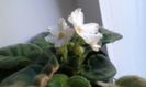 IMG-20151028-WA0007
