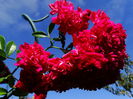DSC01096