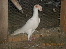 DSCN3353