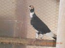 DSCN3371