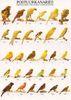 Copy of 11828798_1051155118228814_7968377121528559985_n