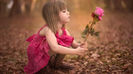 Trandafirul roz... Sufletul meu