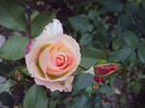 DSC07851