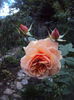 DSC07862
