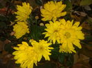 20151030_073758