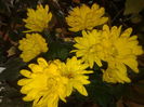 20151030_073837