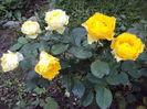 DSC08018