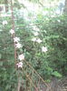 IMG_20150525_102206