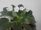 IMG_20151031_181915