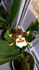 20151101_090652[1]