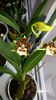 20151101_090701[1]