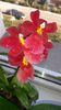 20151101_091108[1]