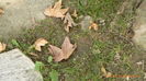 P1020112