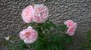 WP_20150818_008