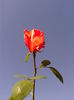 Fotografie0019